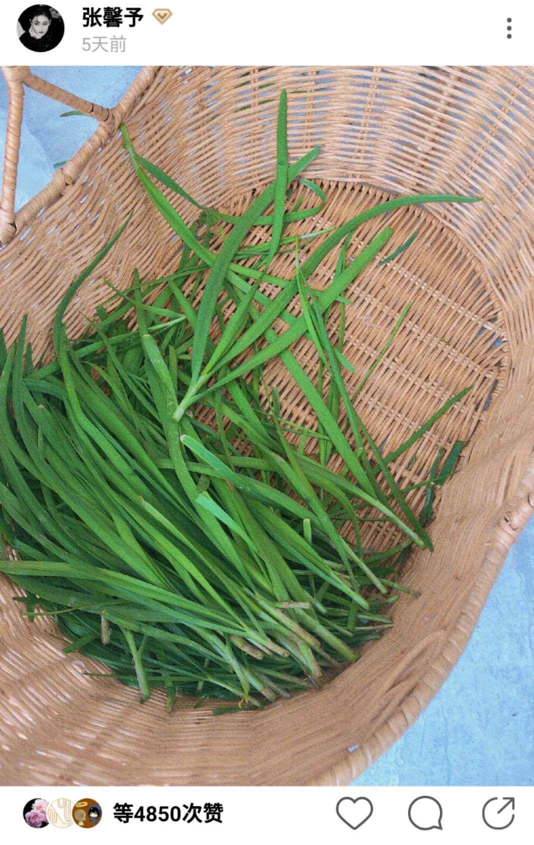 原创张馨予变勤劳小蜜蜂清早洒农药裤腿一高一低露出纤细小腿园子堪比