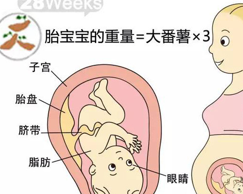 这都是因人而异,若是首次怀孕的孕妈可能在入盆后的2-3周生产,如果是