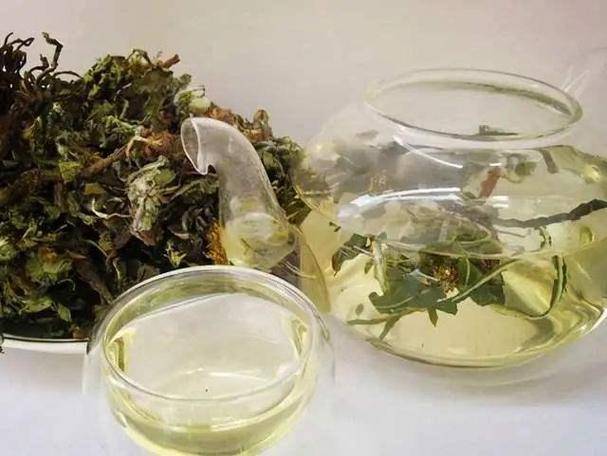 山东52岁女子因长期饮用蒲公英泡水后来身体状况如何了