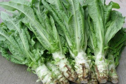 最平民化的三种蔬菜,却是春季不可错过的美食,你知道么_莴笋_养生_韭