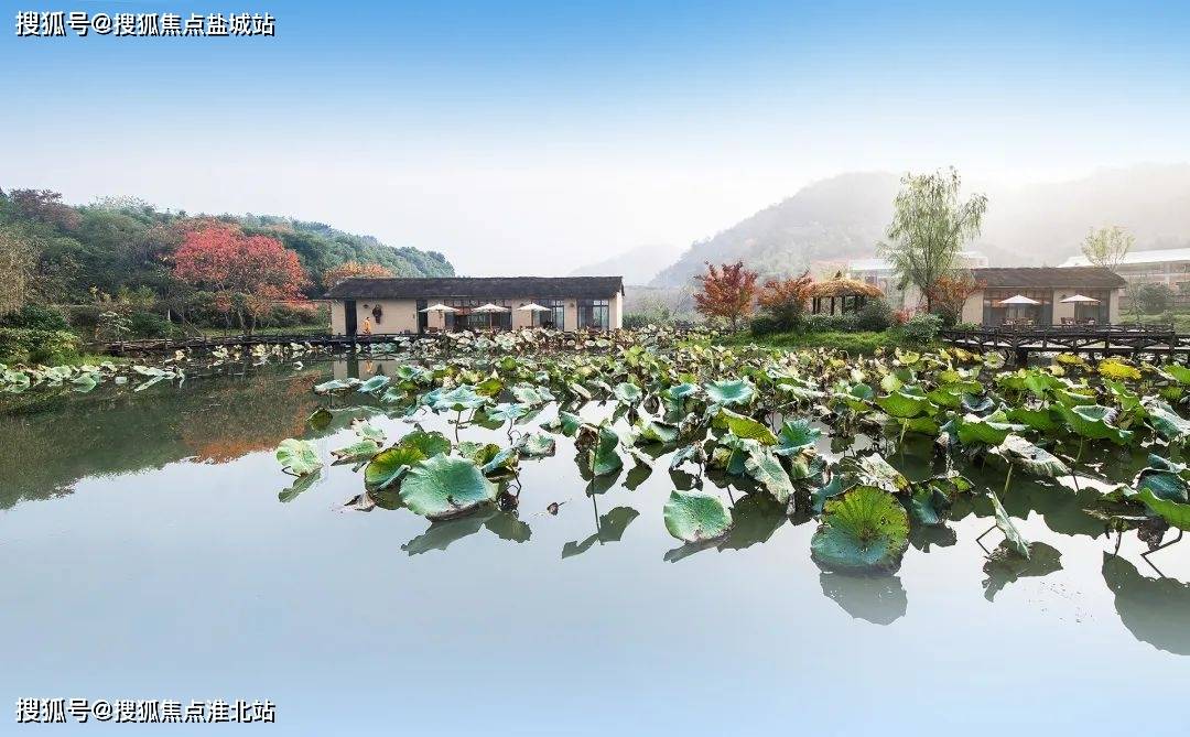 莫干溪谷 · 竹霖里:德清莫干山旅游景区林间别墅莫干溪谷 · 竹霖里