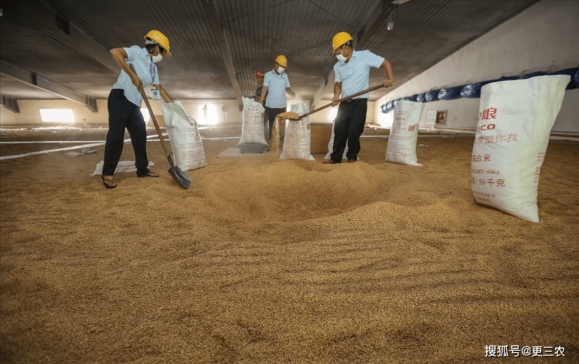 农产品市场_小麦_价格