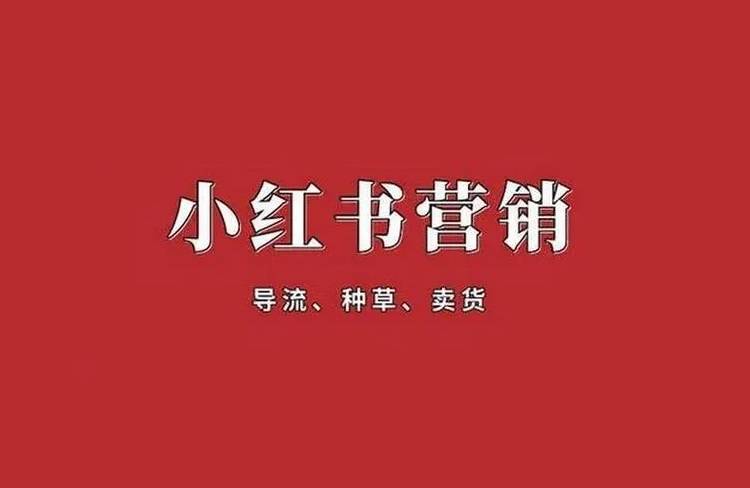 新手从0-1快速掌握小红书流量运营-杨小斌自留地