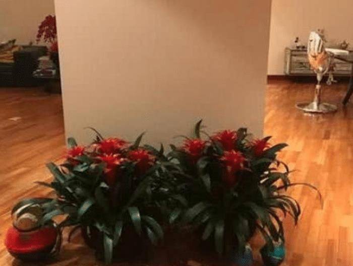 霍思燕杜江爱巢被曝光,室内装修奢华大气,仅几把椅子就能买套房_客厅