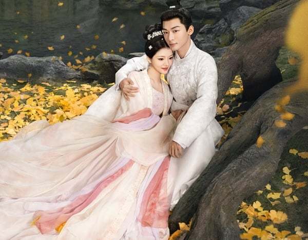 10部第二季不可错过的剧惜花狐妖小红娘来袭与凤行播完追这些