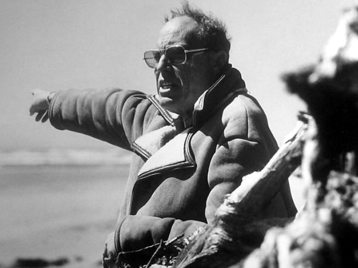 约翰斯特奇斯导演合集