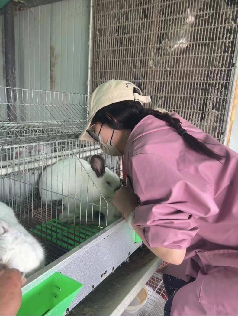 原创我00后女大学生毕业后当兔场老板投200万没收益但不会放弃