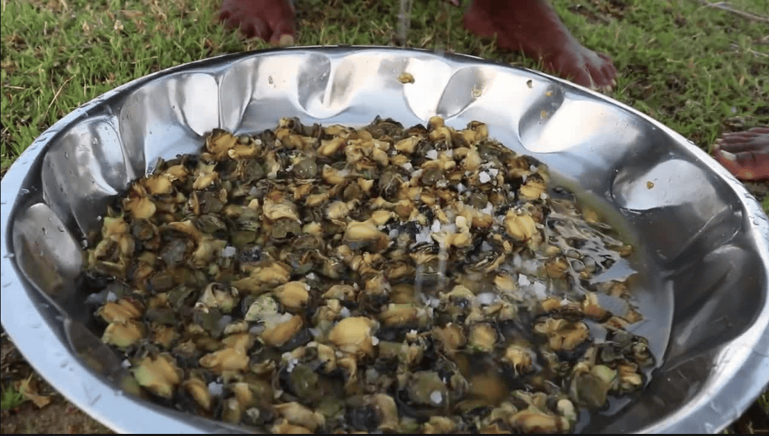 反观国内的烹饪方式,都是连壳带肉放入锅中爆炒,吃的时候再细细将螺肉