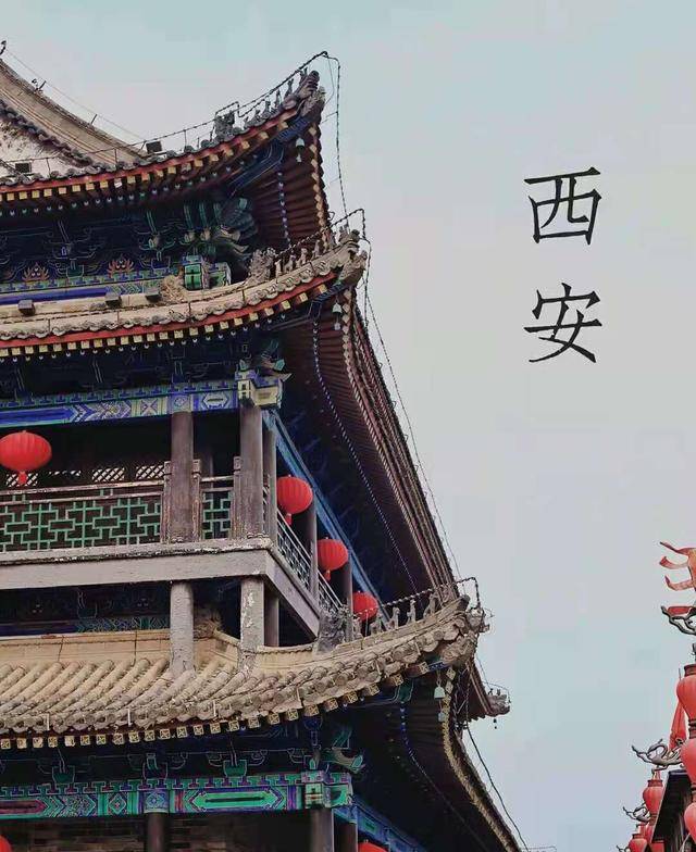 最近带老人去西安旅游团报名五日游价格,当地导游推荐_游客_景点_历史