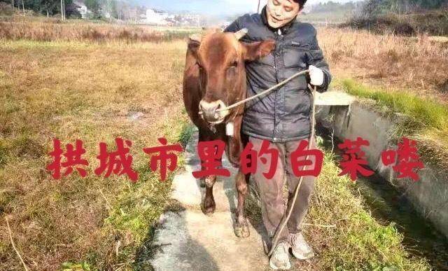 出身农村,面对衡水中学张锡峰的"土猪"论,我真的笑