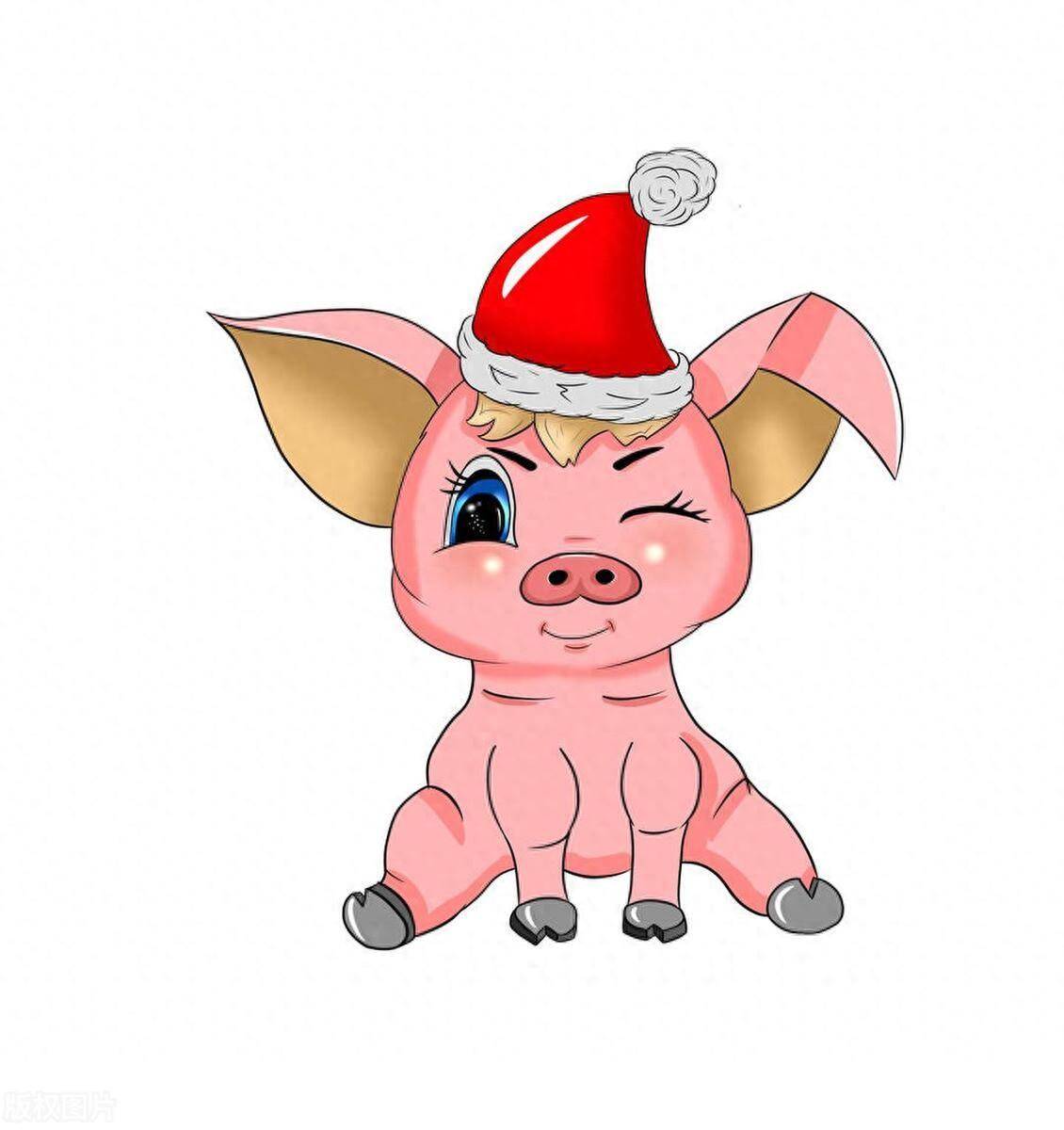 原创亥猪熬过这几个年龄段你将迎来上上签走向巅峰