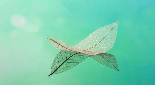 原创层次高的人往往不动声色