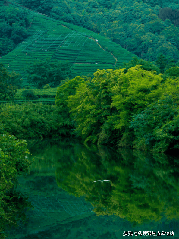 中海月陇云岚杭州中海月陇云岚首页网站楼盘详情价格户型配套