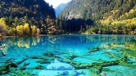 牛奶海,五色海,而且小雅还带我们去体验了康南藏寨,吃了高原特色无鳞