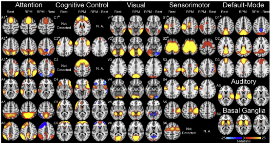 头围决定智商有科学依据么
