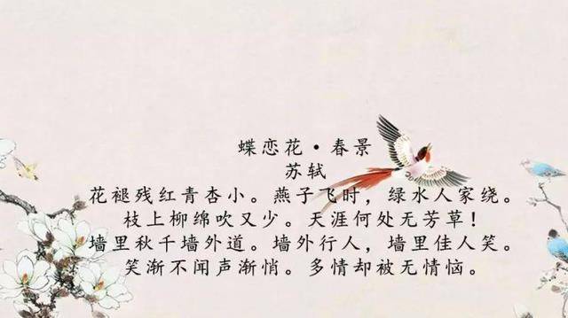 原创中国诗词大会天涯何处无芳草是何意评委蒙曼解读翻车