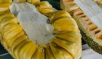 难吃却很贵的三种水果,榴莲上榜,最后一种好多人却不认识_菠萝蜜_果肉