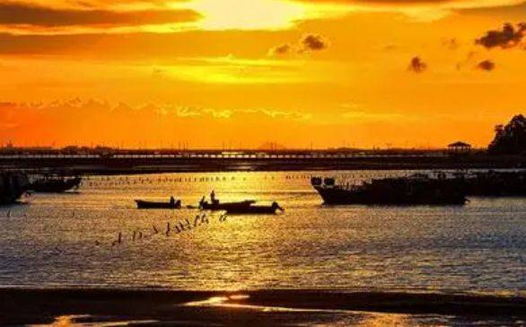 阳江之美海滨城市的宁静与活力