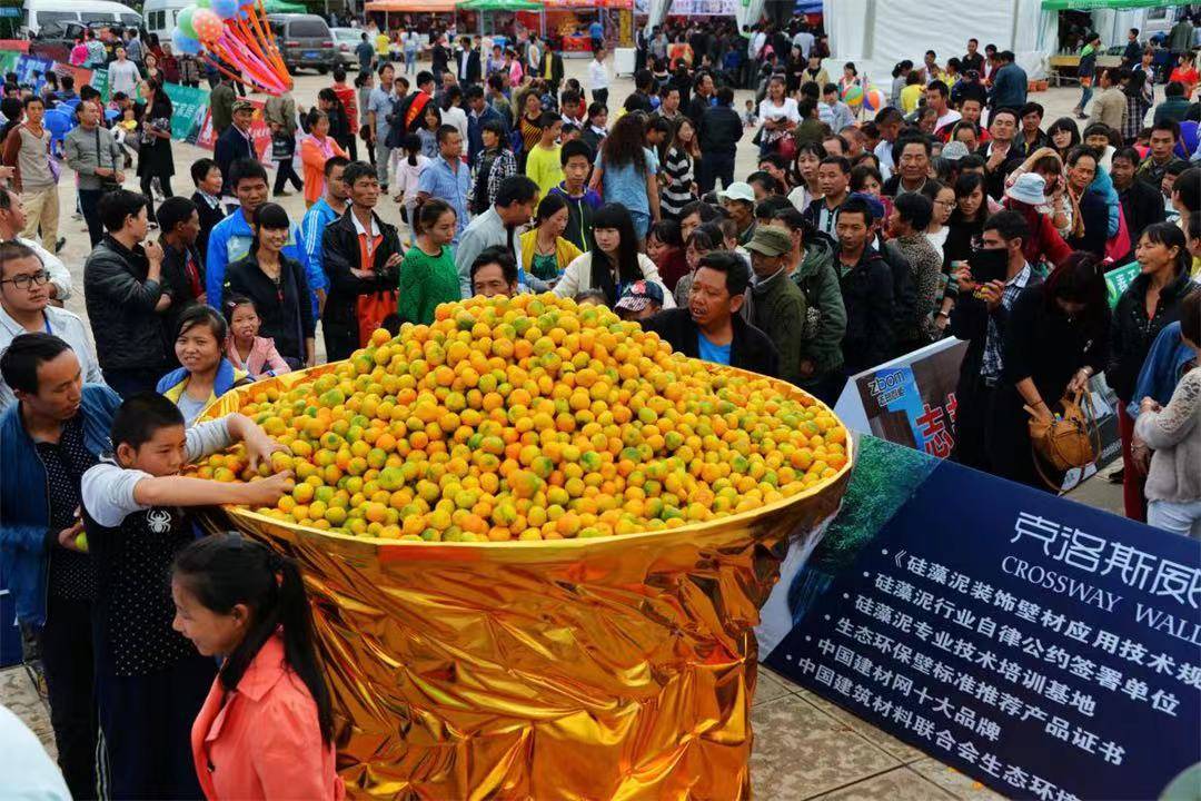 休闲玉溪中甲之旅丨玩转泉润桔乡体验陶怡华宁