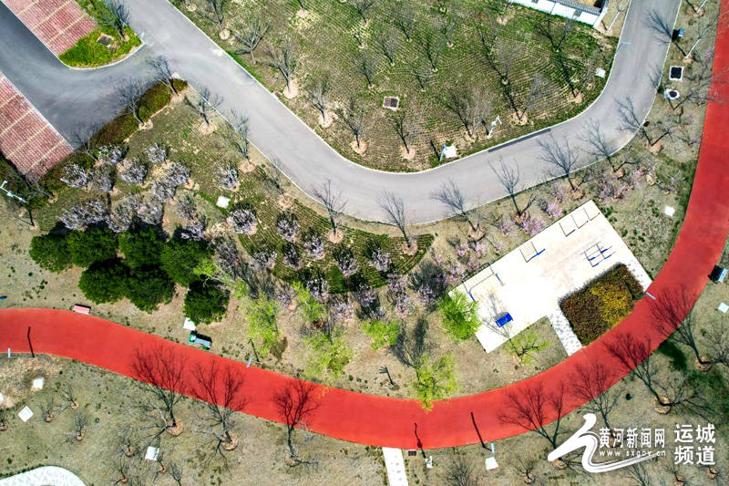 南山公园春烂漫 花繁叶茂春意闹_运城_市民_设施