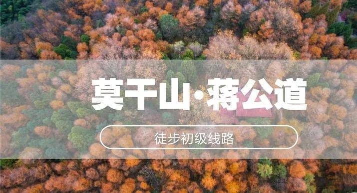 莫干山,国家aaaa级景区,国家级风景名胜区,国家森林公园.