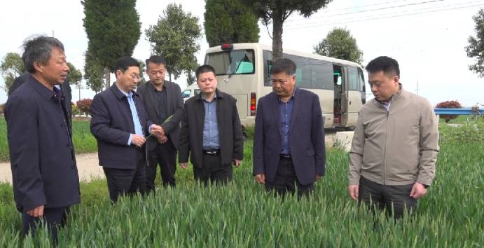 南阳市政府副市长刘江到内乡县实地调研