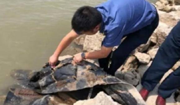 原创三峡出现巨型水怪当地专家打捞上岸结果却大失所望