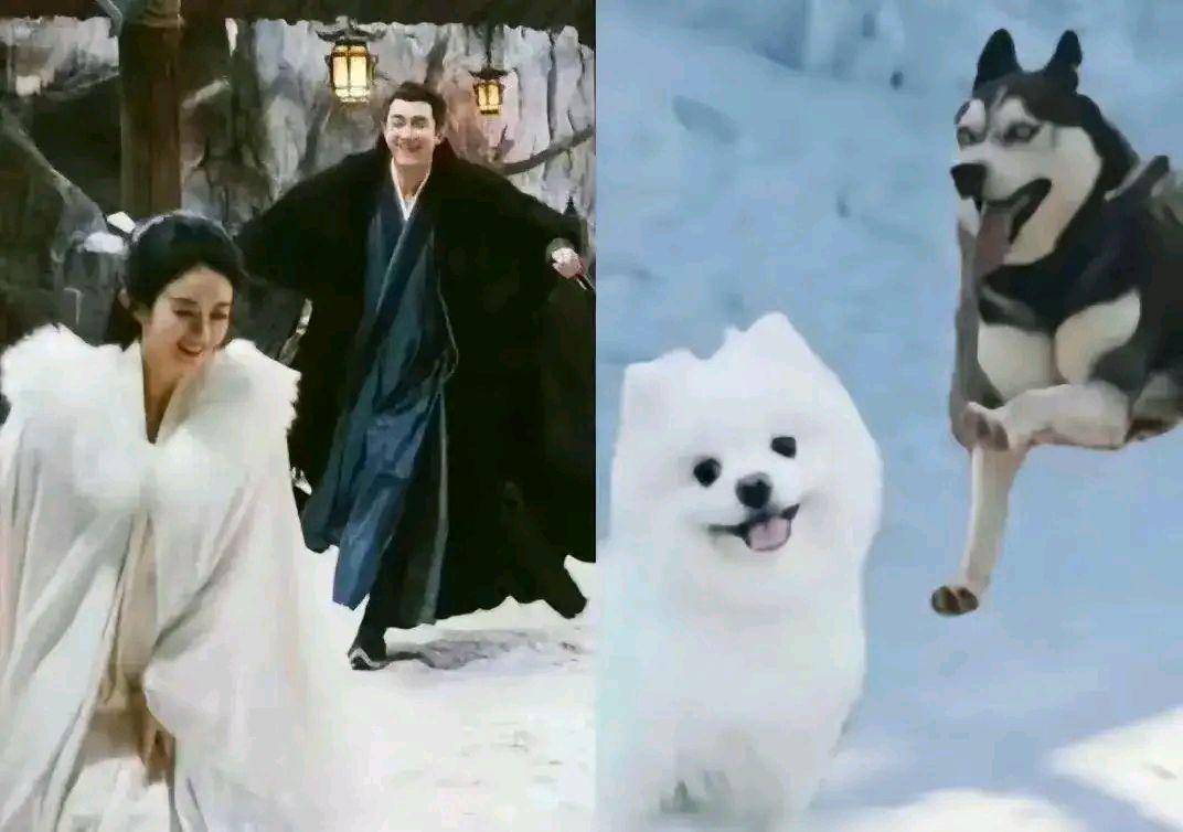 原创与凤行大结局前面虐得要死后面全是快乐的糖