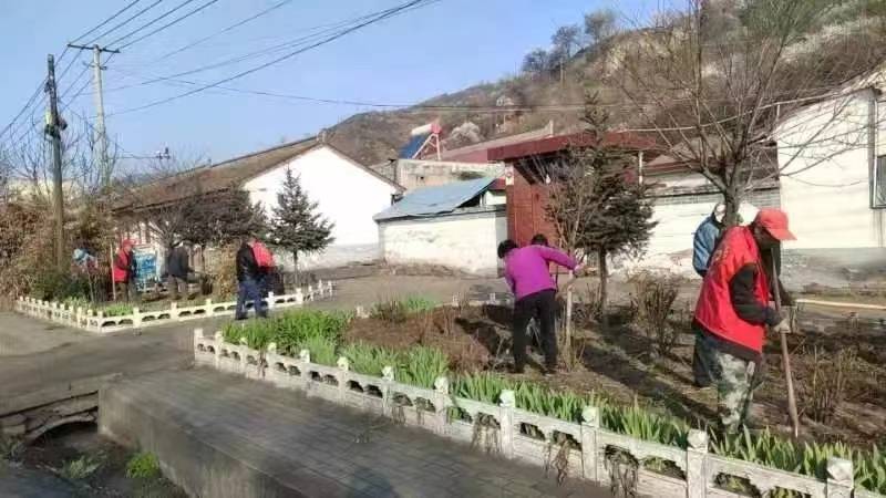 华亭市安口镇种花植绿添秀色扮靓乡村美容颜