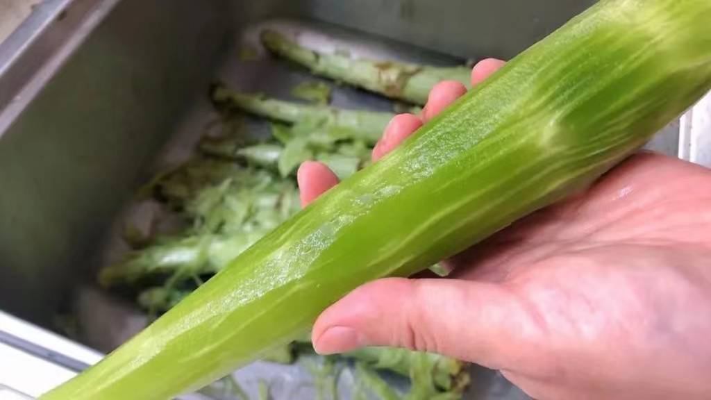 原创4月大量上市1元1斤遇到买20斤晒干炒肉吃比新鲜的好吃多了