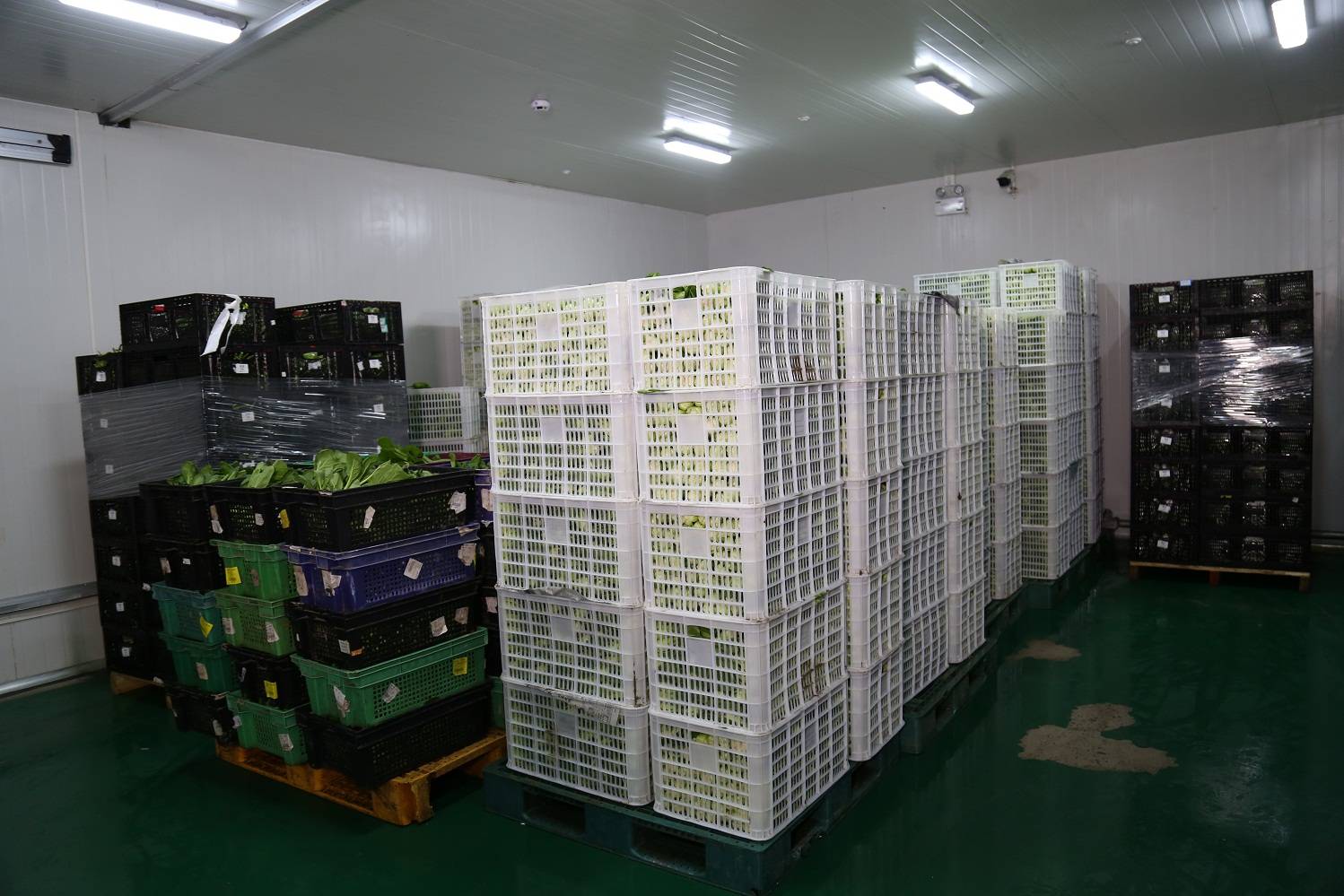 黄浦蔬菜供应上海沪鑫餐饮保障食堂配送菜品新鲜