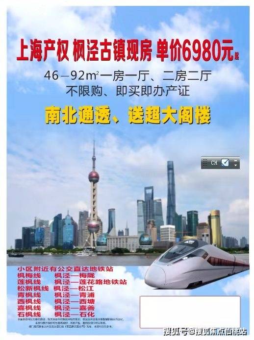 非遗文化小镇上海金山枫泾非遗文化小镇价格房价在售户型户型图