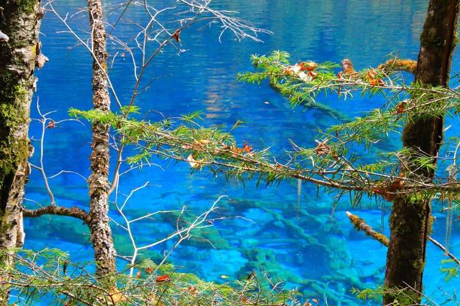 去成都旅游5日游推荐56月份旅游成都最佳旅游景点如何