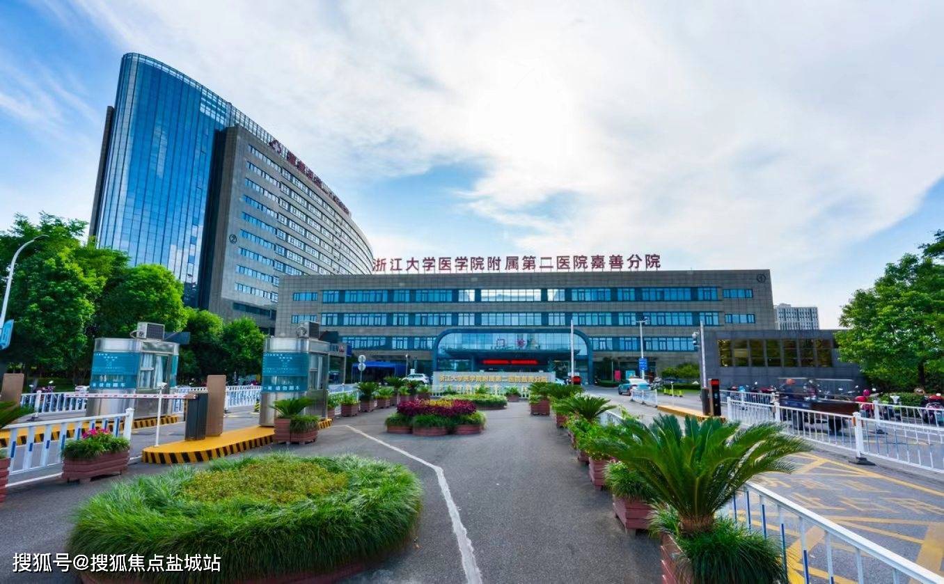 嘉善金悦学府售楼处首页网站售楼处金悦学府售楼处欢迎您楼盘详情