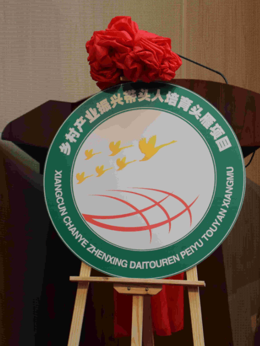 我的经历138退而不休活得有意思有意义64参加梁漱溟乡建61头雁计划4