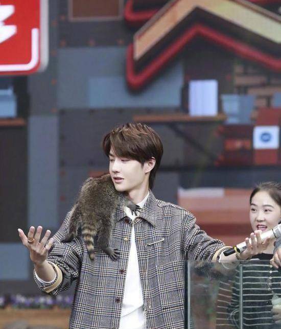 发布全新剧照,倔强少女 淇奥公子,粉丝都"沸腾"了_赵丽颖_王一博_网友