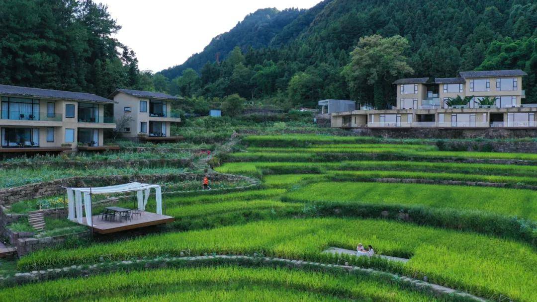莫干山_张重庆_度假村