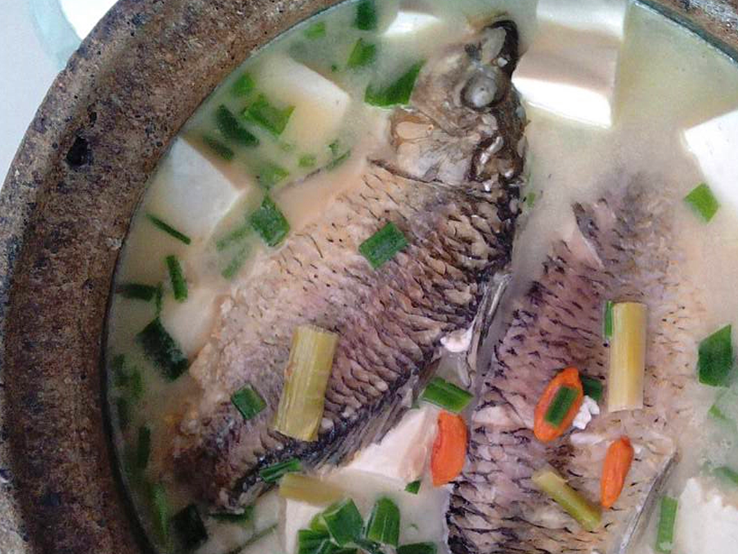 炖鲫鱼汤时有人焯水有人直接炖都不对这才是鱼汤的正确做法