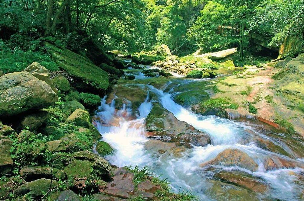 去张家界天门山凤凰古城旅游四天三晚大概开销多少张家界四日游开销