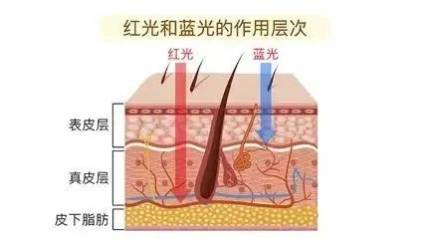 商丘缔莱美周院长科普:红蓝光|痘肌护理的天命好物!_皮肤_作用_红光