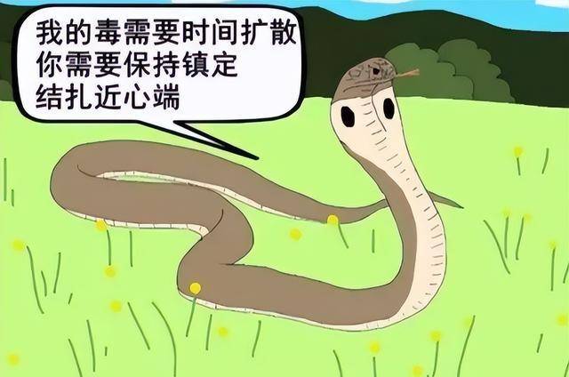 扔石头惹怒眼镜王蛇七旬老人被追咬两招捡回一命医生幸运