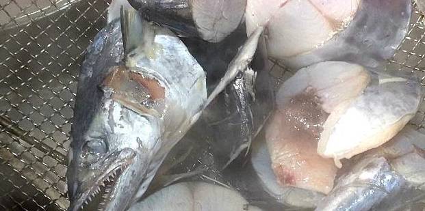 春天鲅鱼最鲜了教你做酱焖鲅鱼学会丈母娘家露一手尽尽孝心