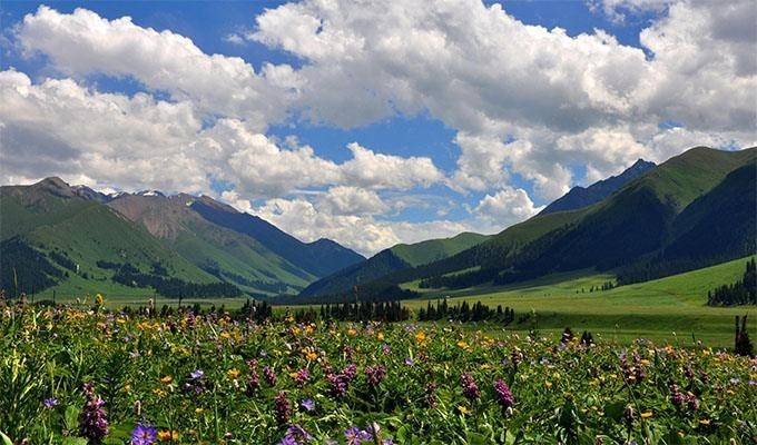 一家三口新疆9天多少钱新疆薰衣草庄园九日游大概费用