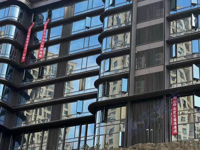 重庆棕榈泉冲突事件后又一知名豪宅小区业主被踢皮球太曲折