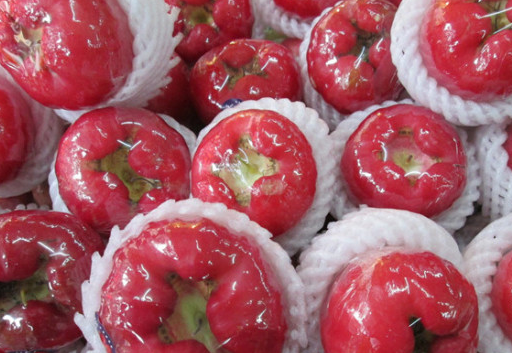 莲雾_睡眠_地区