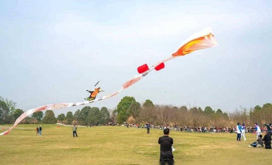 原创筝舞春风春色满溢2024四川崇州国际风筝邀请赛盛大