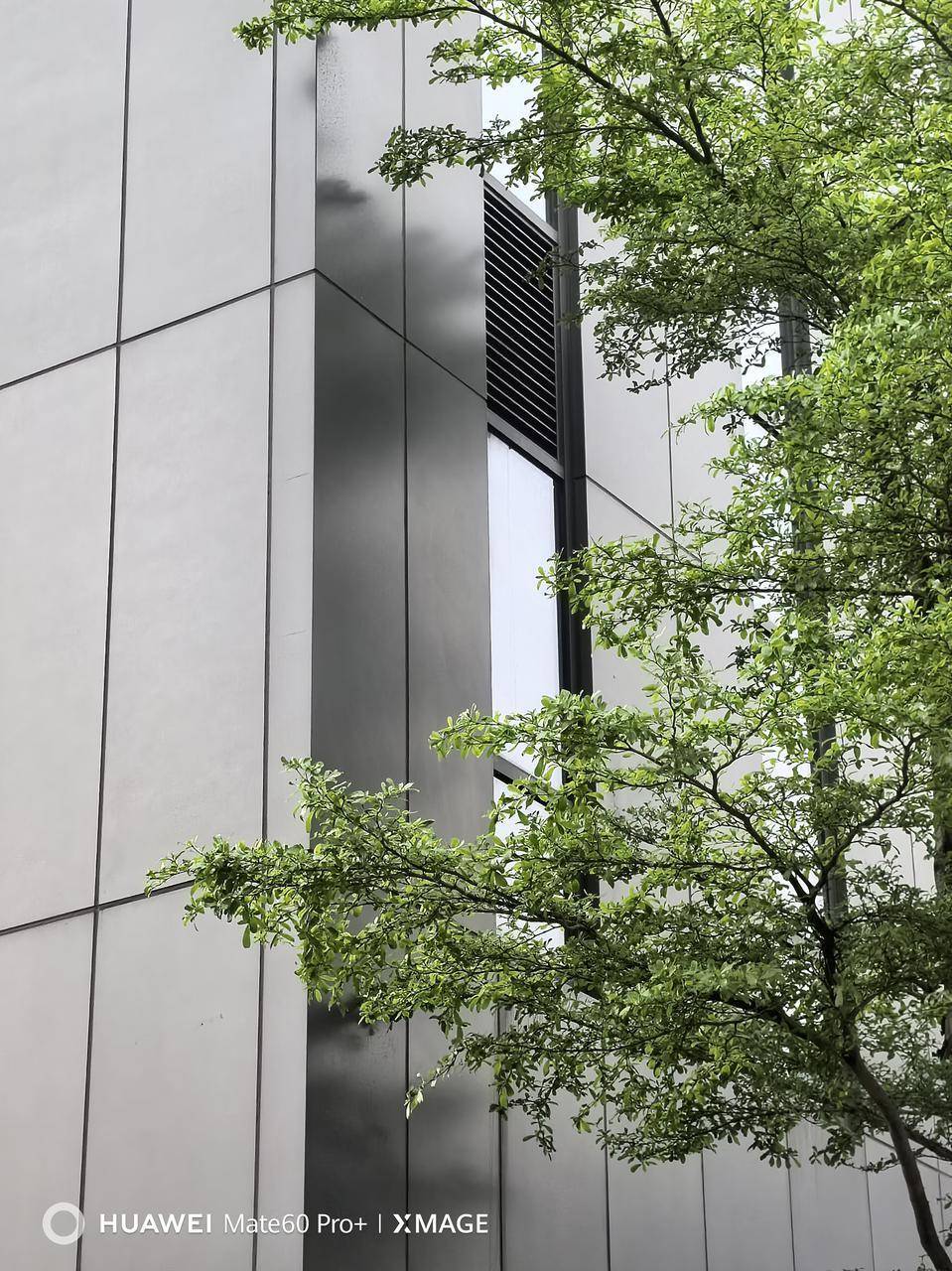 体验华为三星苹果oppo四大拍照旗舰,我更推荐ta_ultra_pro_效果