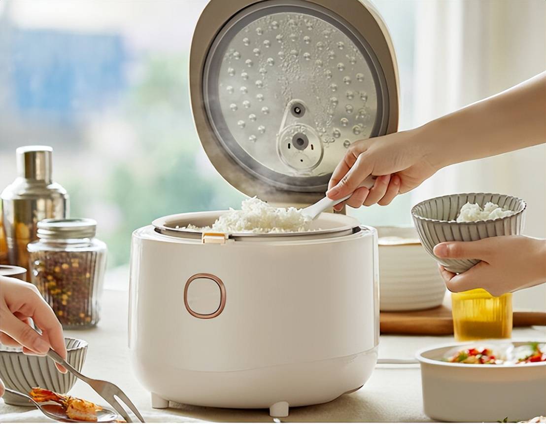 电饭煲十大高质量品牌优选十款全网热销款必须收藏