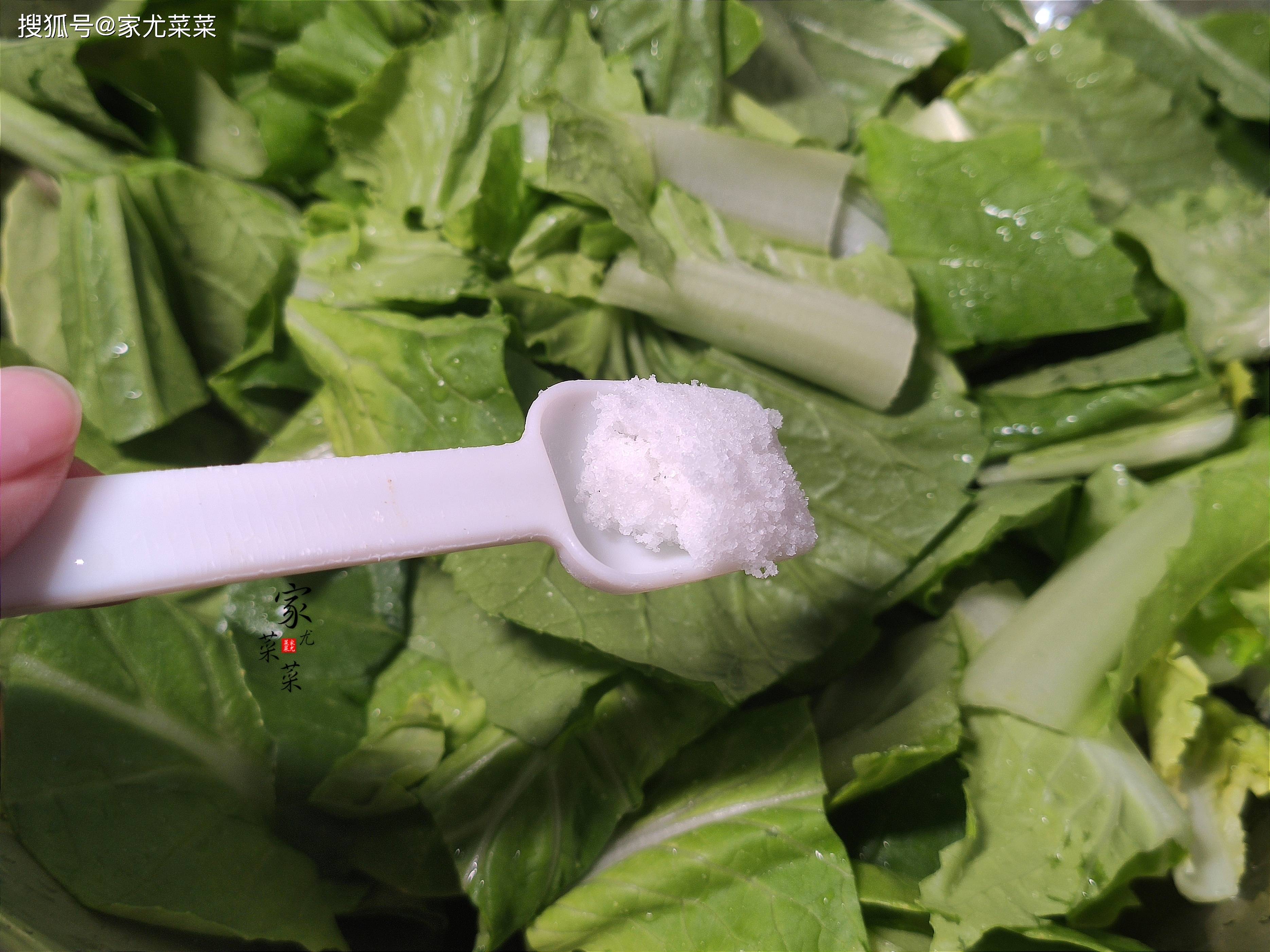 小白菜_土豆_胡萝卜