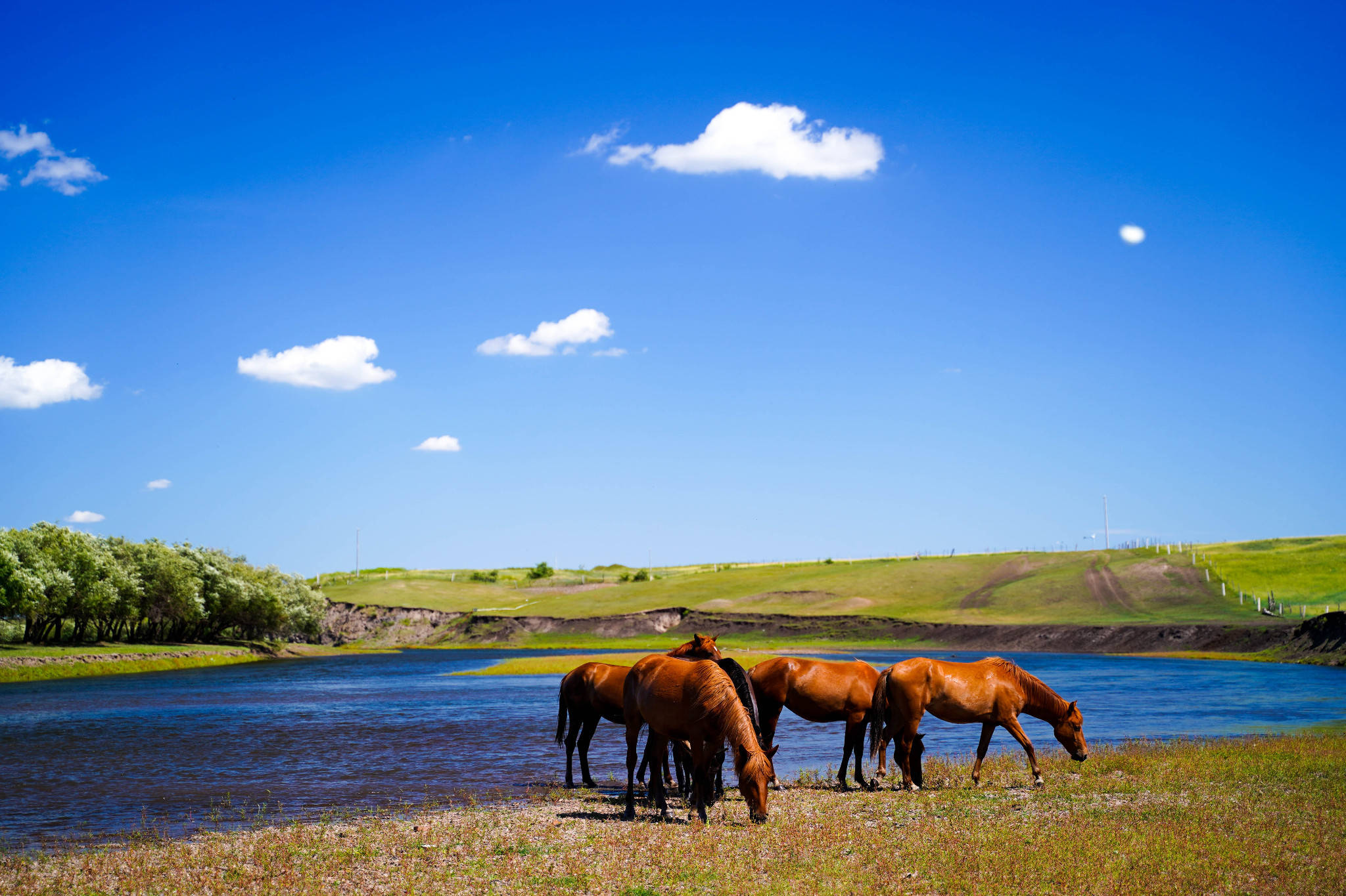 内蒙古呼和浩特旅游攻略自由行花费多少省钱攻略